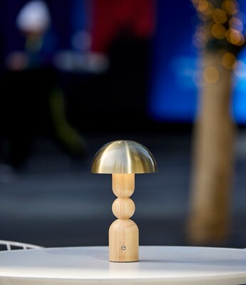 Adesso Connie 10.75H LED Table Lamp, Natural/Antique Brass (3178-12)