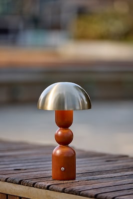 Adesso Connie 10.75"H LED Table Lamp, Walnut/Antique Brass (3178-15)