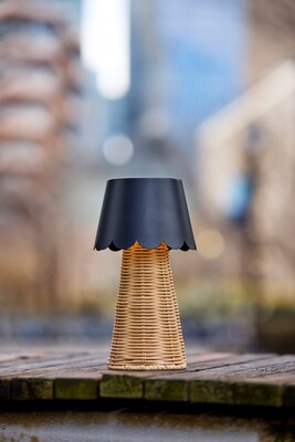 Adesso Tory 9.75"H LED Table Lamp, Rattan/Black (3165-01)