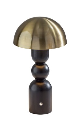Adesso Connie 10.75H LED Table Lamp, Black/Antique Brass (3178-01)