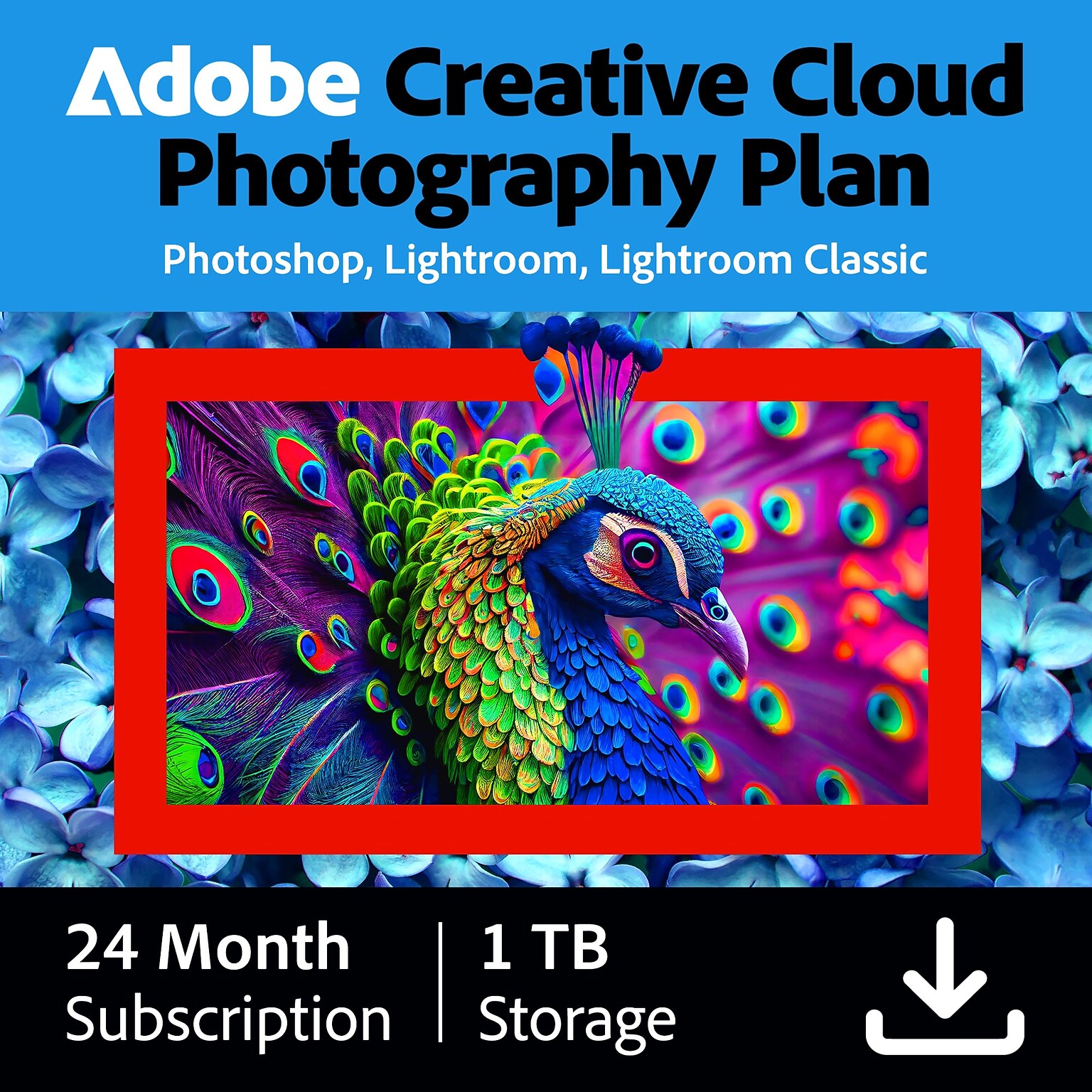 Adobe Creative Cloud Photography for 1 User, 24 Month Subscription, 1TB Storage, Windows, Download (ADO951800V265)