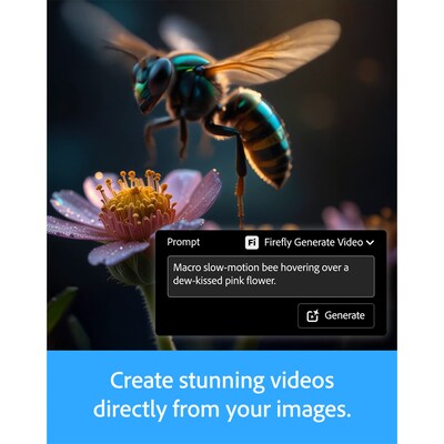 Adobe Lightroom for 1 User, 24-Month Subscription, 1TB, PC, Download (ADO951800V267)