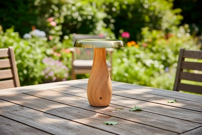 Adesso Naya 9.25H LED Table Lamp, Natural Wood/Antique Brass Metal Shade (3196-12)