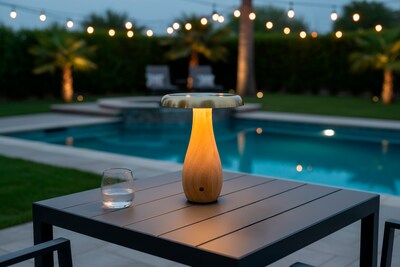 Adesso Naya 9.25"H LED Table Lamp, Natural Wood/Antique Brass Metal Shade (3196-12)