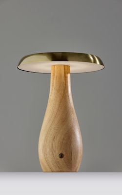 Adesso Naya 9.25"H LED Table Lamp, Natural Wood/Antique Brass Metal Shade (3196-12)