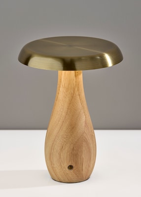 Adesso Naya 9.25"H LED Table Lamp, Natural Wood/Antique Brass Metal Shade (3196-12)