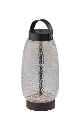 Adesso Cassius 10.6H LED Table Lamp, Black with Iron & Glass Shade (3345-01)