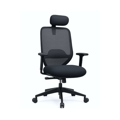 FlexiSpot Ergonomic Mesh Swivel Computer and Desk Chair, Black (C5BG-F1)