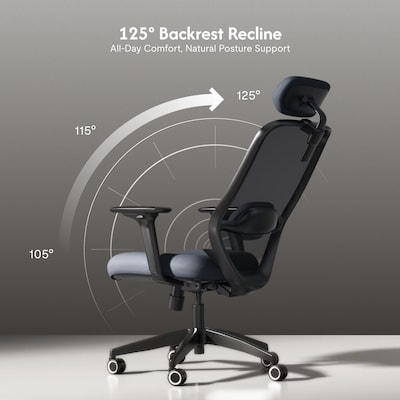 FlexiSpot Ergonomic Mesh Swivel Computer and Desk Chair, Black (C5BG-F1)