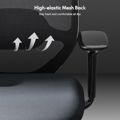 FlexiSpot Ergonomic Mesh Swivel Computer and Desk Chair, Black (C5BG-F1)