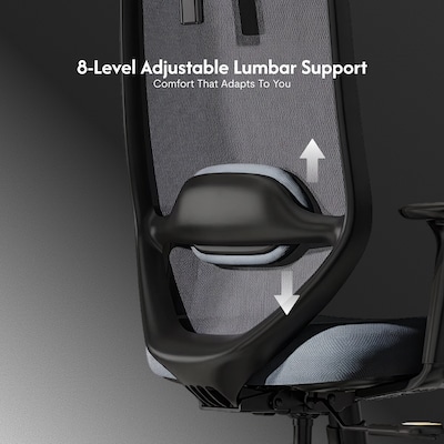FlexiSpot Ergonomic Mesh Swivel Computer and Desk Chair, Black (C5BG-F1)