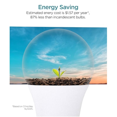 Viribright 9 Watts Daylight LED Household Bulb, 4/Pack (640337-4)