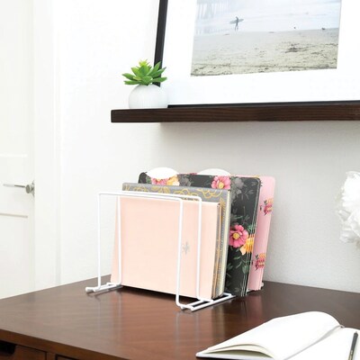 Better Houseware Coated Steel 4-Section Medium Vertical Organizer, White (BTH1493)