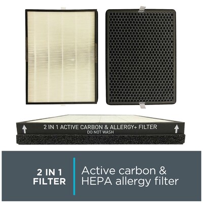 Rowenta Pure Air Hepa Air Purifier Filter, 2 x 11 x 17 (XD6231U0)
