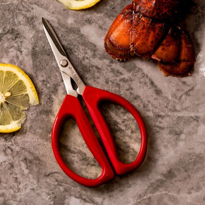 Joyce Chen Deluxe Unlimited Stainless Steel Kitchen Scissor, Dark Navy/Red, 2/Pack (KCHZ06801)