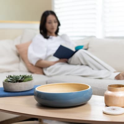 LEXA by Joyce Chen 12-In. Bamboo Fruit Bowl, Navy (LX12FRB-NVY)