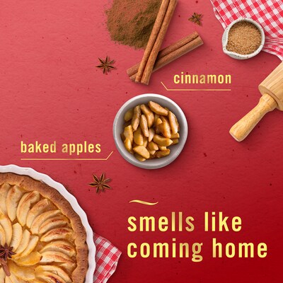 Febreze Air Mist Air Freshener Spray, Crisp Fall Breeze/Cuddle Weather/Baked Cinnamon Apple, 8.1 oz, 3/Pack (557980)