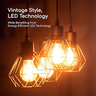 Viribright 5-Watt Soft White LED Decorative Bulb (450131)