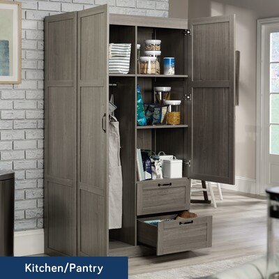 Sauder Select 71"H Storage Armoire, 2 Drawers, Silver Sycamore (426126)