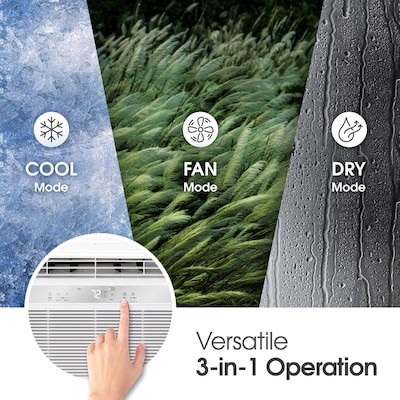 LG 115-Volt 10000 BTU Window Air Conditioner with Remote, White (LW1025R)