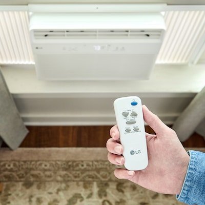LG 115-Volt 10000 BTU Window Air Conditioner with Remote, White (LW1025R)