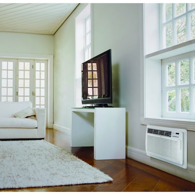 LG 115-Volt 11800 BTU Wall Air Conditioner with Remote, White (LT12124CNR)