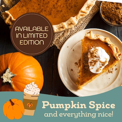 Werthers Original Pumpkin Spice Soft Caramels, 8.57 Oz. (SUL53231)