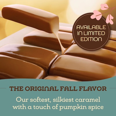 Werther's Original Pumpkin Spice Soft Caramels, 8.57 Oz. (SUL53231)