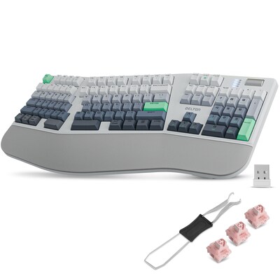Delton KB450 Ergonomic Mechanical Keyboard, Multicolored (DKBE450MWRWH)