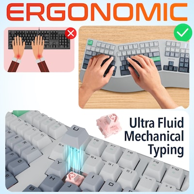 Delton KB450 Ergonomic Mechanical Keyboard, Multicolored (DKBE450MWRWH)