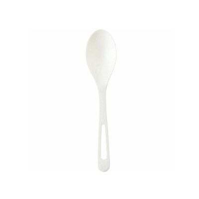 World Centric Compostable Renewable Content Soup Spoons, Beige, 24/Pack (WORSPPSR)