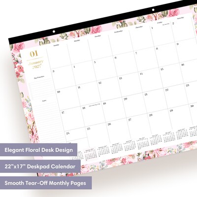2027 Blue Sky Sincerely Jules 17 x 22 Monthly Desk Calendar, Pink (164256)