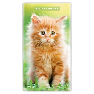 2027-2028 BrownTrout Kitten Cuddles 3.5 x 6.5 Monthly Planner (9798330710225)