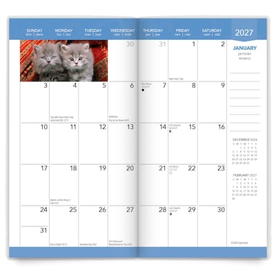 2027-2028 BrownTrout Kitten Cuddles 3.5" x 6.5" Monthly Planner (9798330710225)
