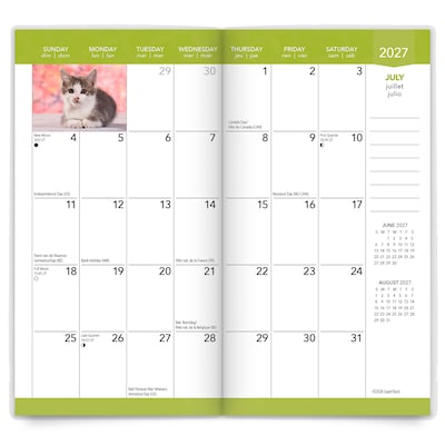 2027-2028 BrownTrout Kitten Cuddles 3.5" x 6.5" Monthly Planner (9798330710225)