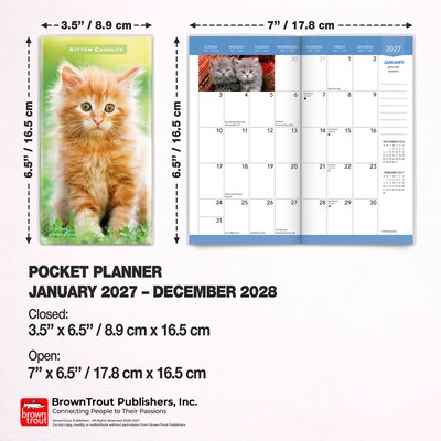 2027-2028 BrownTrout Kitten Cuddles 3.5" x 6.5" Monthly Planner (9798330710225)