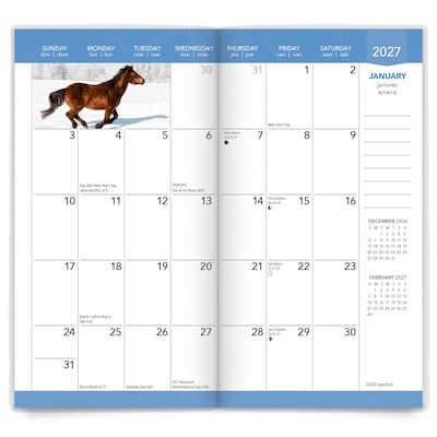 2027-2028 BrownTrout Horse Lovers 3.5" x 6.5" Monthly Planner (9798330710256)