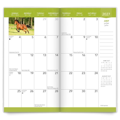 2027-2028 BrownTrout Horse Lovers 3.5" x 6.5" Monthly Planner (9798330710256)