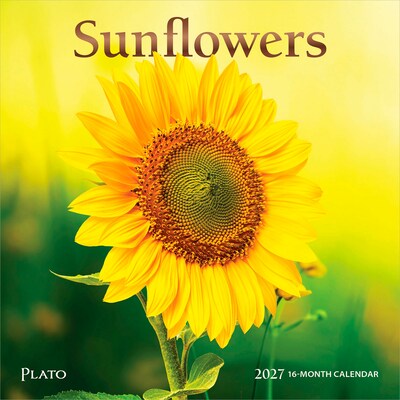 2027 BrownTrout Sunflowers 7 x 7 Monthly Wall Calendar (9798330714964)