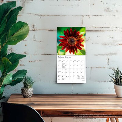 2027 BrownTrout Sunflowers 7" x 7" Monthly Wall Calendar (9798330714964)