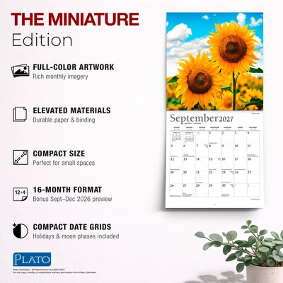 2027 BrownTrout Sunflowers 7" x 7" Monthly Wall Calendar (9798330714964)