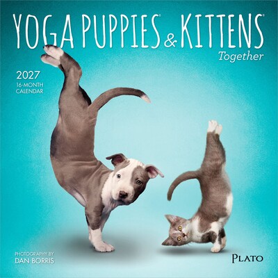 2027 BrownTrout Yoga Puppies & Kittens Together 7 x 7 Monthly Wall Calendar (9798330713561)