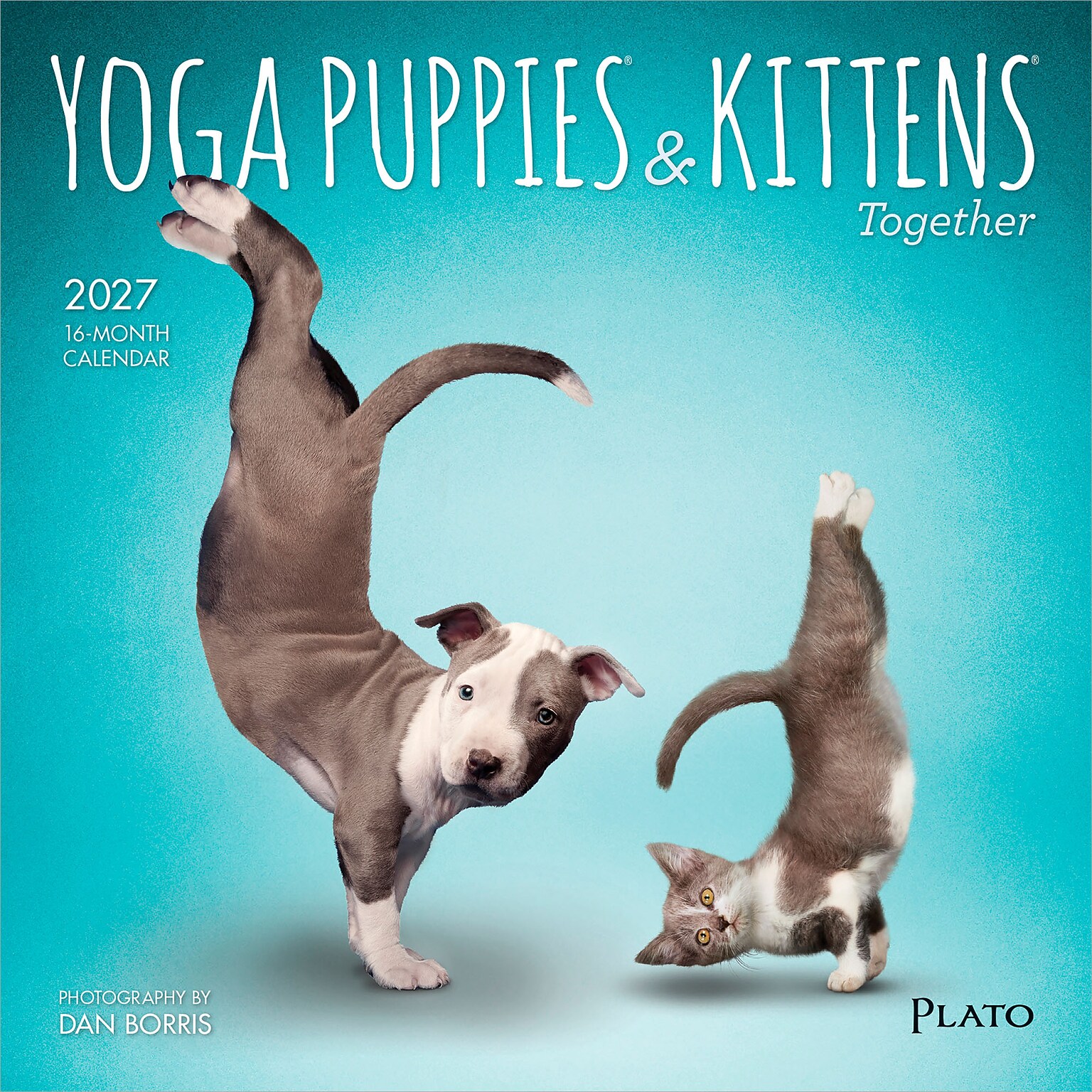 2027 BrownTrout Yoga Puppies & Kittens Together 7 x 7 Monthly Wall Calendar (9798330713561)