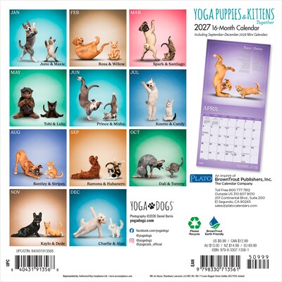 2027 BrownTrout Yoga Puppies & Kittens Together 7 x 7 Monthly Wall Calendar (9798330713561)
