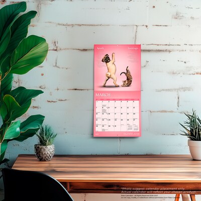 2027 BrownTrout Yoga Puppies & Kittens Together 7" x 7" Monthly Wall Calendar (9798330713561)