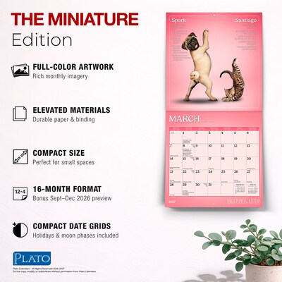 2027 BrownTrout Yoga Puppies & Kittens Together 7" x 7" Monthly Wall Calendar (9798330713561)