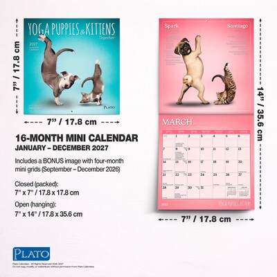 2027 BrownTrout Yoga Puppies & Kittens Together 7" x 7" Monthly Wall Calendar (9798330713561)