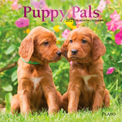 2027 BrownTrout Puppy Pals 7 x 7 Monthly Wall Calendar (9798330713820)