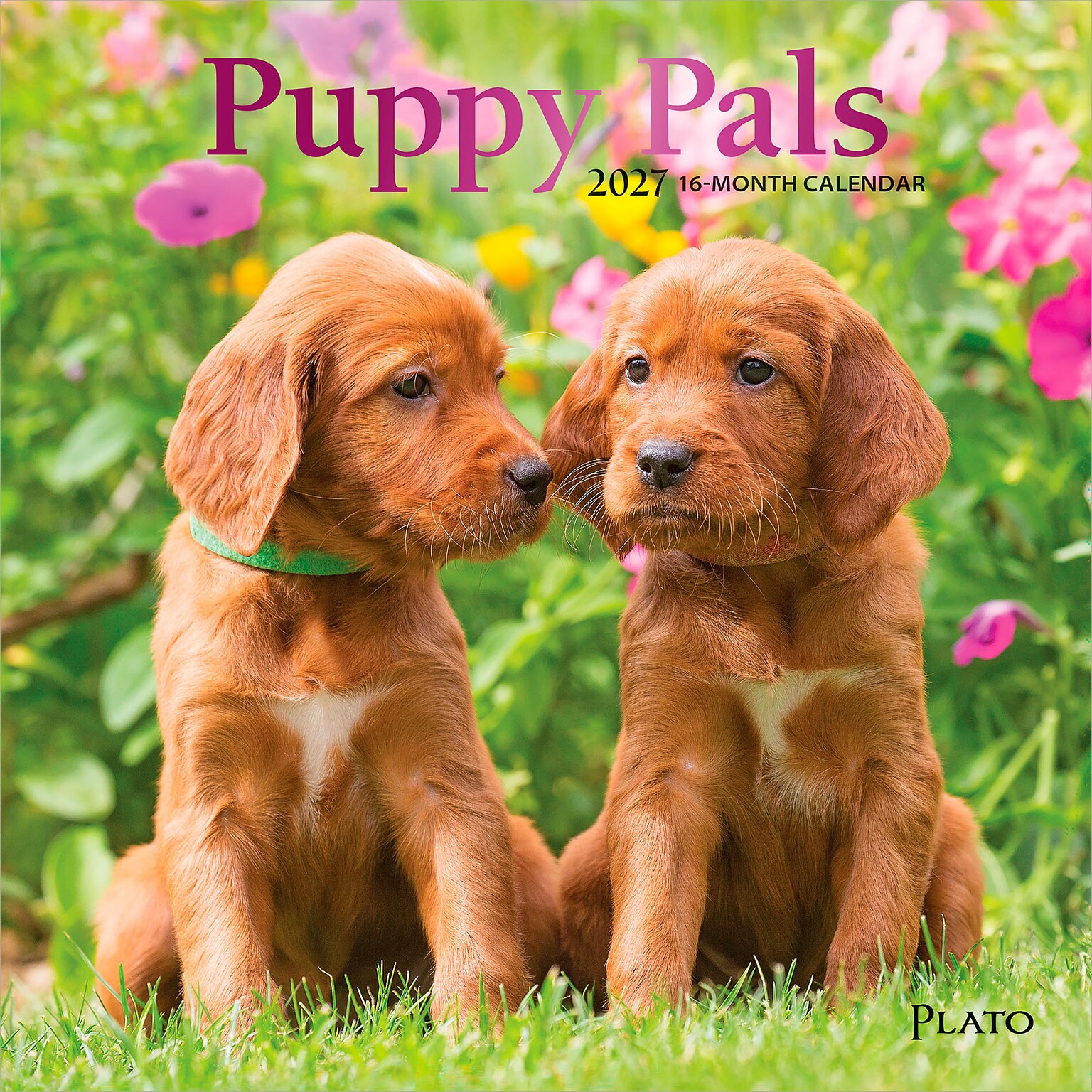 2027 BrownTrout Puppy Pals 7 x 7 Monthly Wall Calendar (9798330713820)
