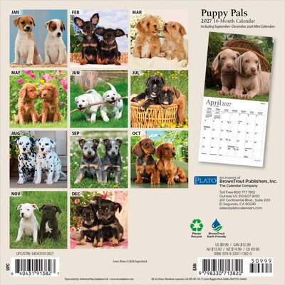 2027 BrownTrout Puppy Pals 7 x 7 Monthly Wall Calendar (9798330713820)